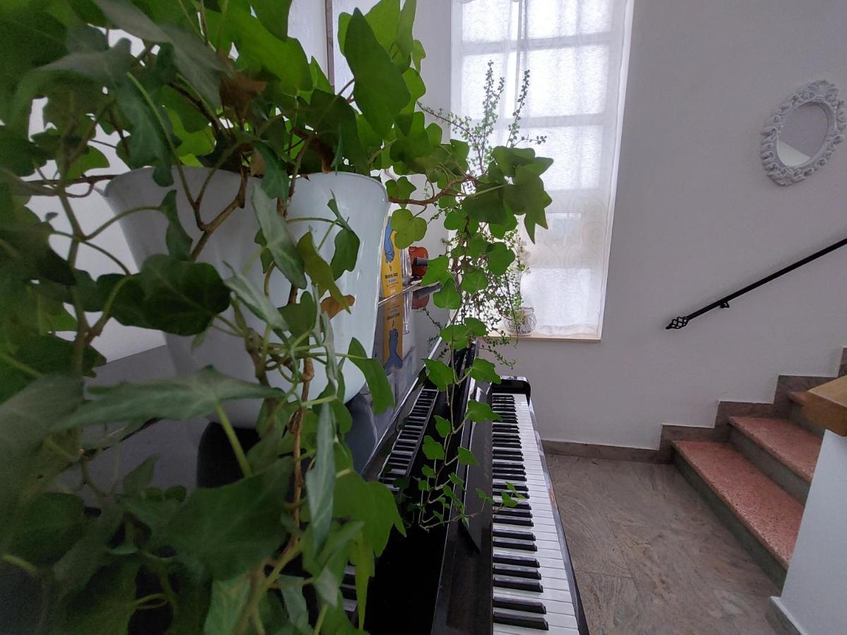 Nonna Anita Palace Narni Ngoại thất bức ảnh
